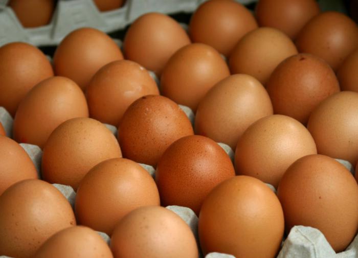 Иран впервые направит в Россию партию яиц